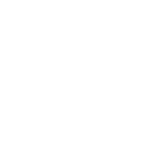 Logo C Coaching Sportif Holistique blanc